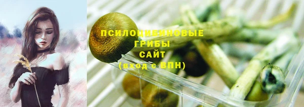 каннабис Алзамай