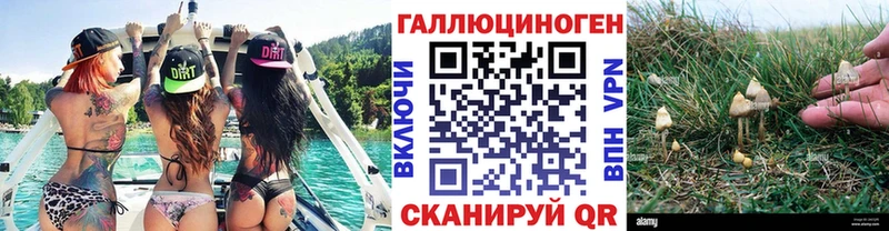 Галлюциногенные грибы Cubensis  Нижний Новгород 