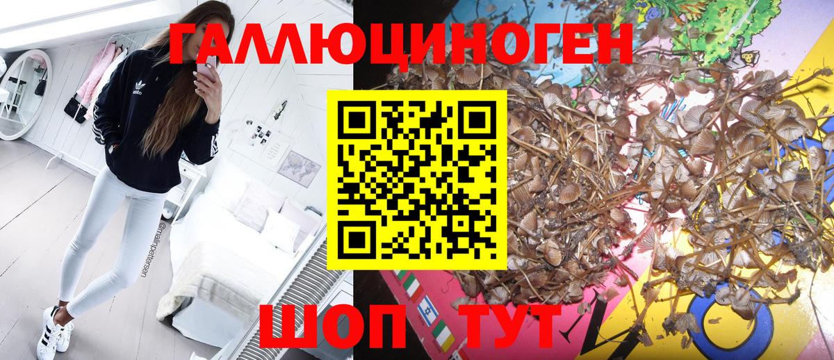 Псилоцибиновые грибы мухоморы  Вход с VPN  Нижний Новгород 